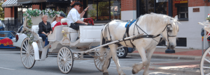 Horse and Carriage Rides Dallas West End